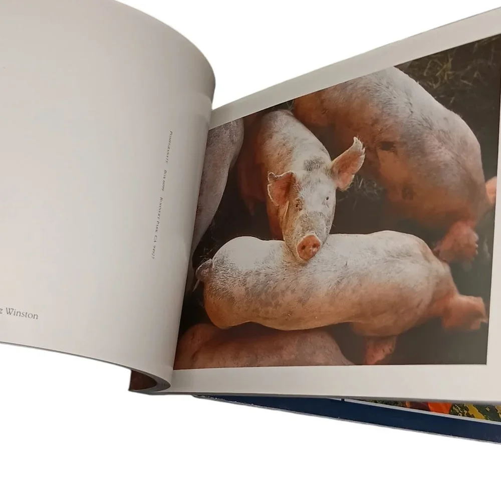 Pigs Book Of Postcards Set Of Two 21 and 30 Postscards Vintage Ephemera